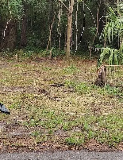 00 - Parcel 3 NE 13th Avenue, GAINESVILLE, FL 32601