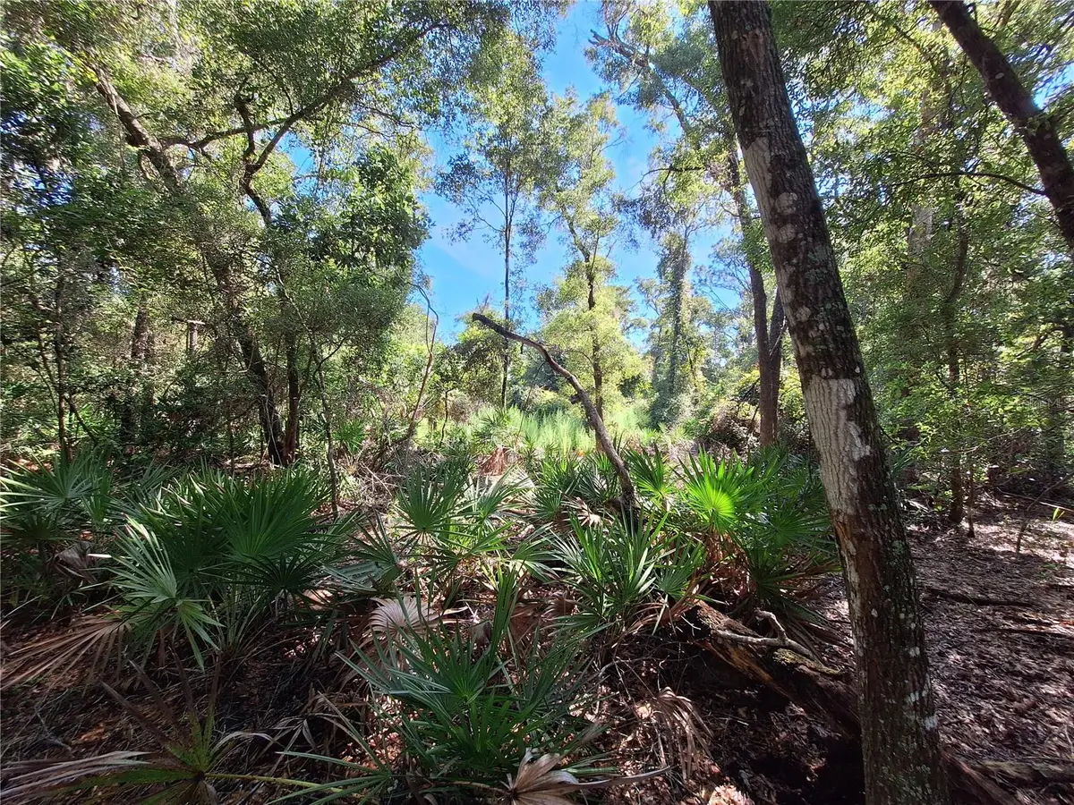 TBD 00 NW 47th Street, Chiefland, FL 32626 - Image #1