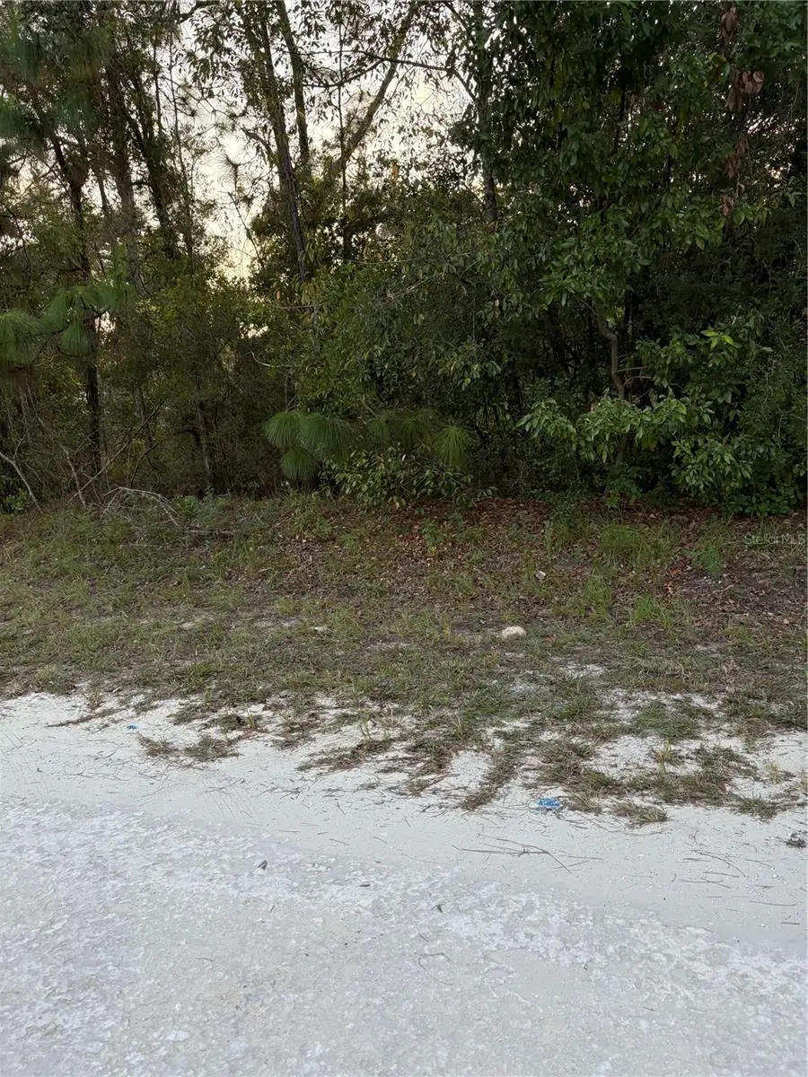 SE 131 St Avenue, Morriston, FL 32668 - Image #2