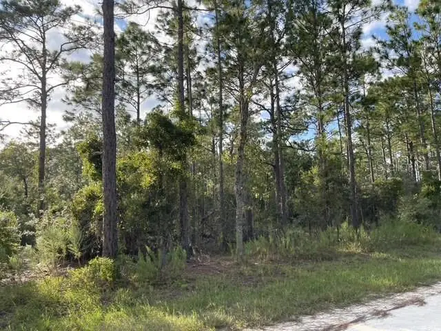 141st Avenue, Morriston, FL 32668 - Image #3