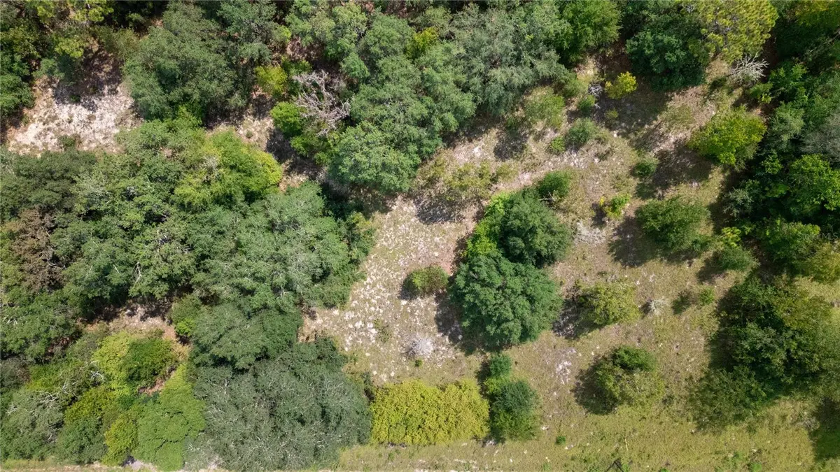 7697 Colorado Avenue, Keystone Heights, FL 32656 - Image #1