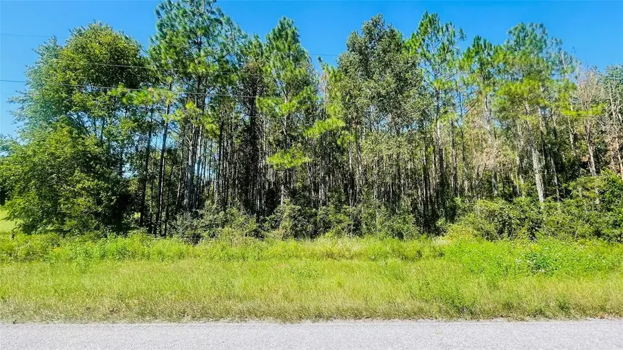 T/B/D NW 50th Ave, Trenton, FL 32693 - Image #2