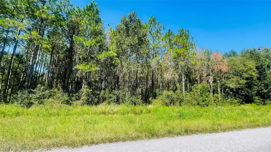 T/B/D NW 50th Ave, Trenton, FL 32693 - Image #3