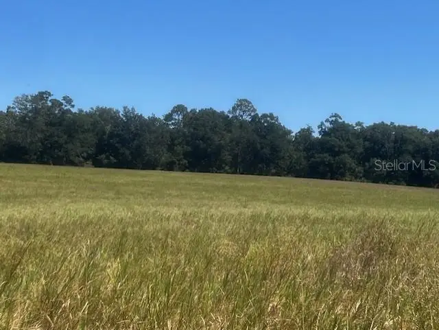 3830 NW 31st Avenue, Bell, FL 32619 - Image #2