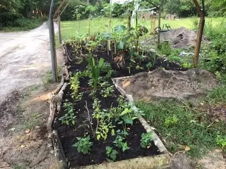 2406 SE 36th Street, Gainesville, FL 32641 - Image #2