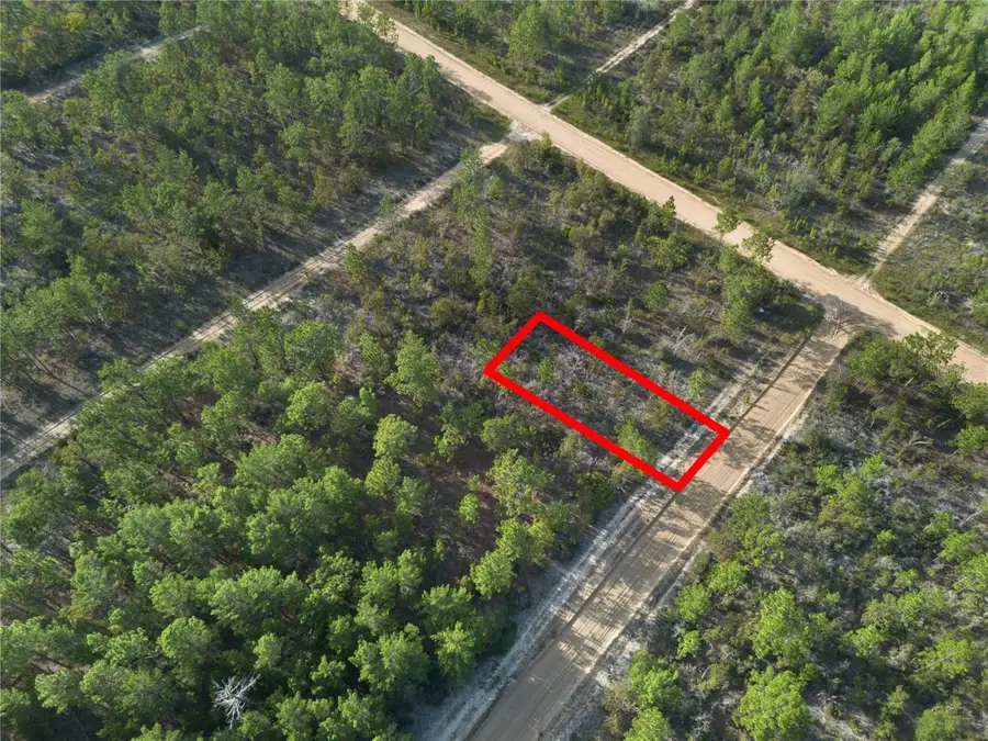 359 Dothan Street, Interlachen, FL 32148 - Image #2