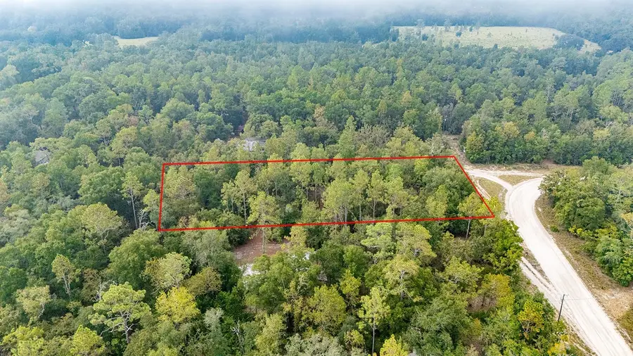 Lot 9 NW 73rd Way, Bell, FL 32619 - Image #3