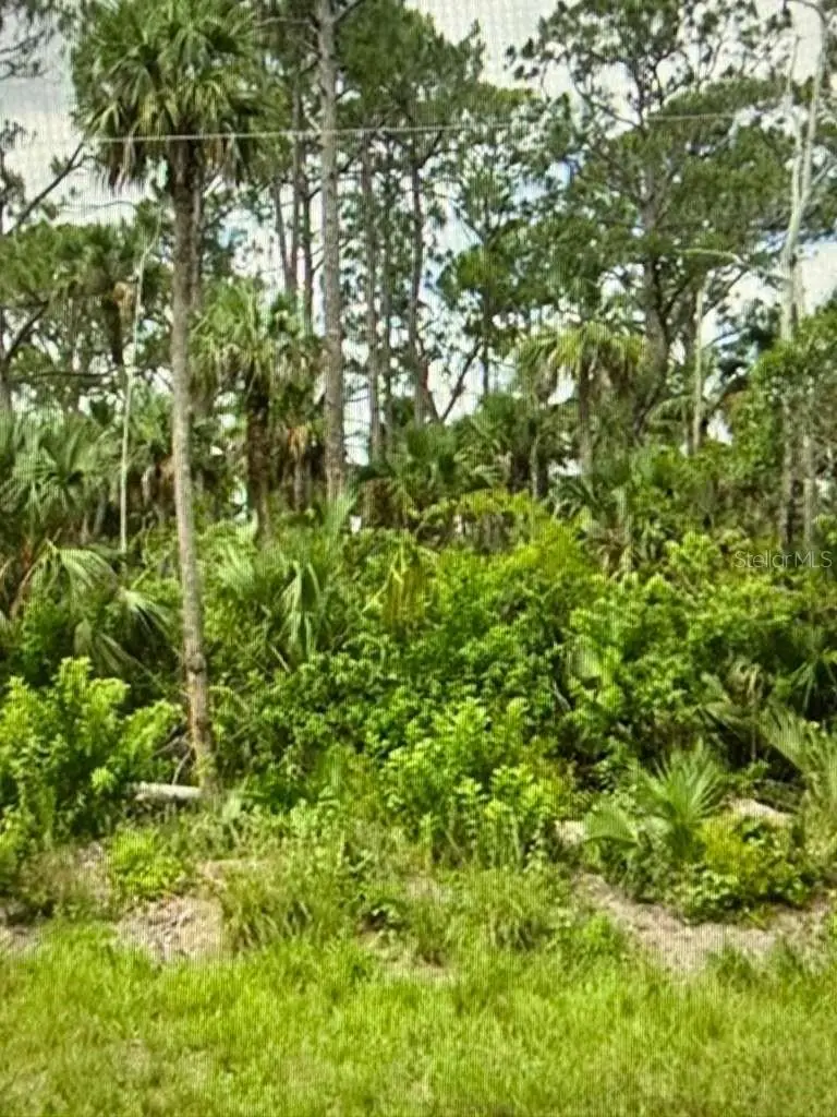 625 Greenbriar Boulevard, Lehigh Acres, FL 33972 - #1