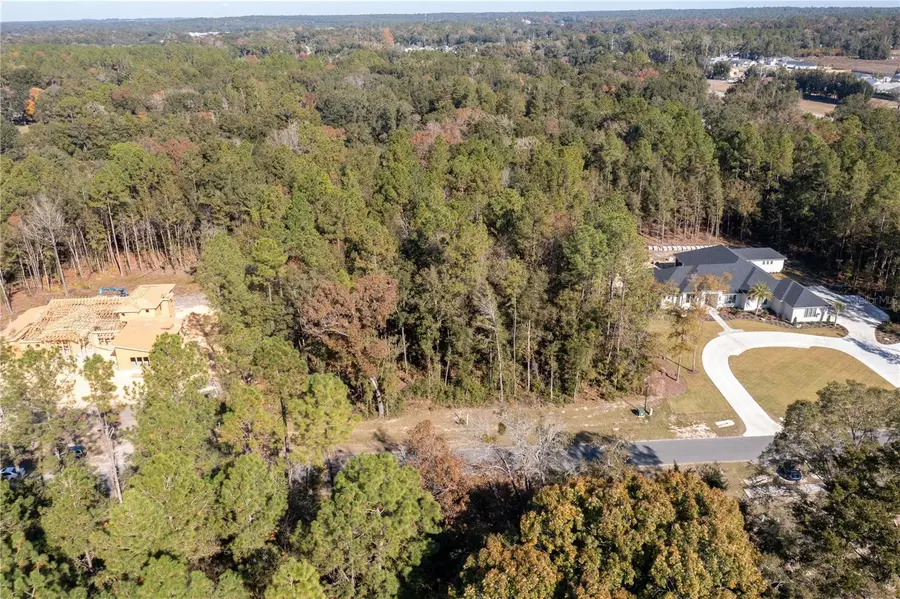 12364 SW 16th Lane, Newberry, FL 32669 - Image #3