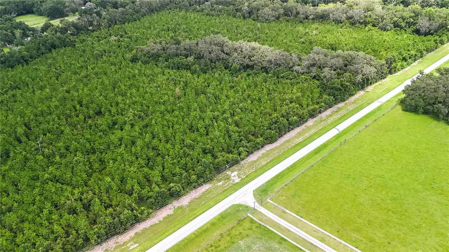 7906 SW County Road 346, Archer, FL 32618 - Image #2