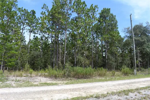 TBD SE 136th Avenue, DUNNELLON, FL 34431