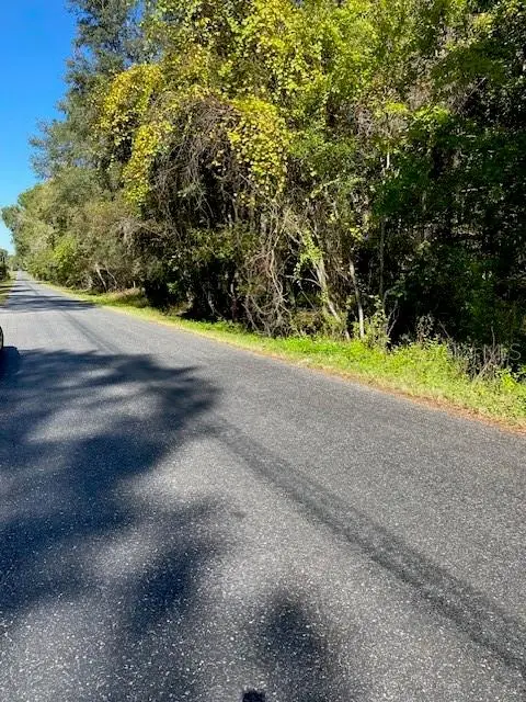 19611 NW 75th Street, Alachua, FL 32615 - Image #2