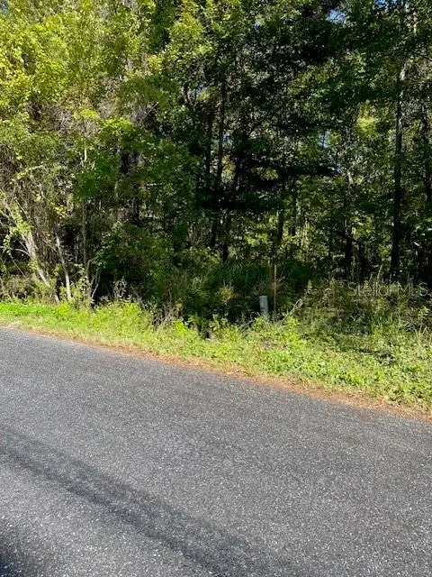 19611 NW 75th Street, Alachua, FL 32615 - Image #3