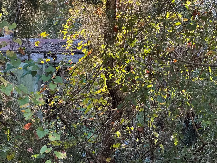 150 SE 926th Street, Old Town, FL 32680 - Image #3