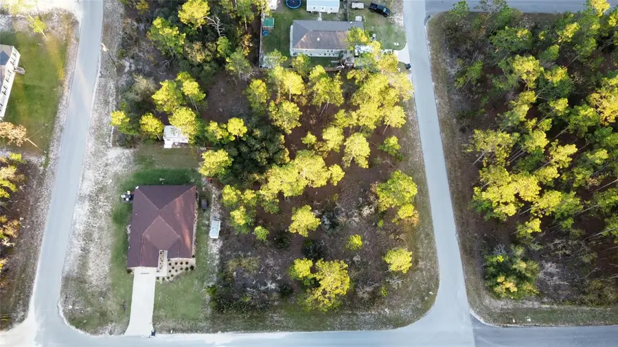 00 NE 9th Street, Williston, FL 32696 - Image #2