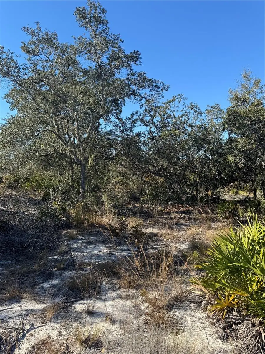 Ne 123rd Ct, Archer, FL 32618 - Image #1