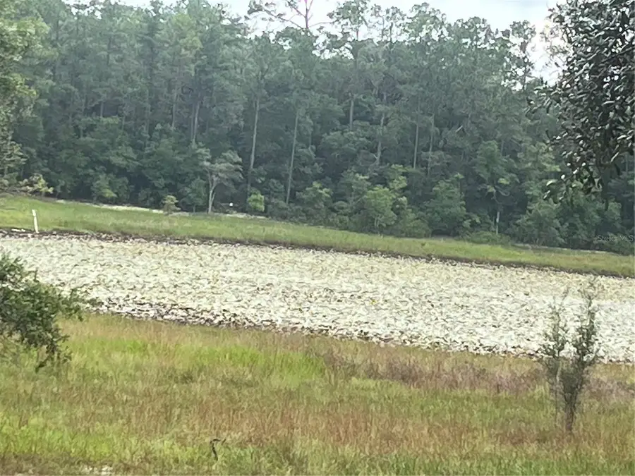 129 Viola Drive, Hawthorne, FL 32640 - Image #2