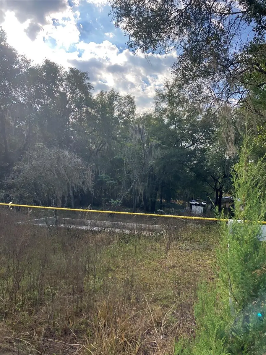 151 Duncan Avenue, Interlachen, FL 32148 - Image #3