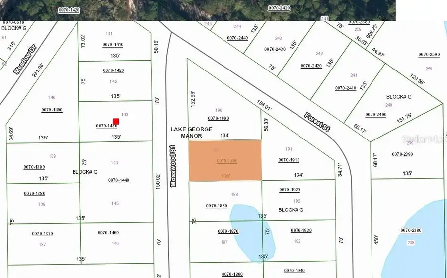 106 Mosswood Street, Georgetown, FL 32139 - Image #2