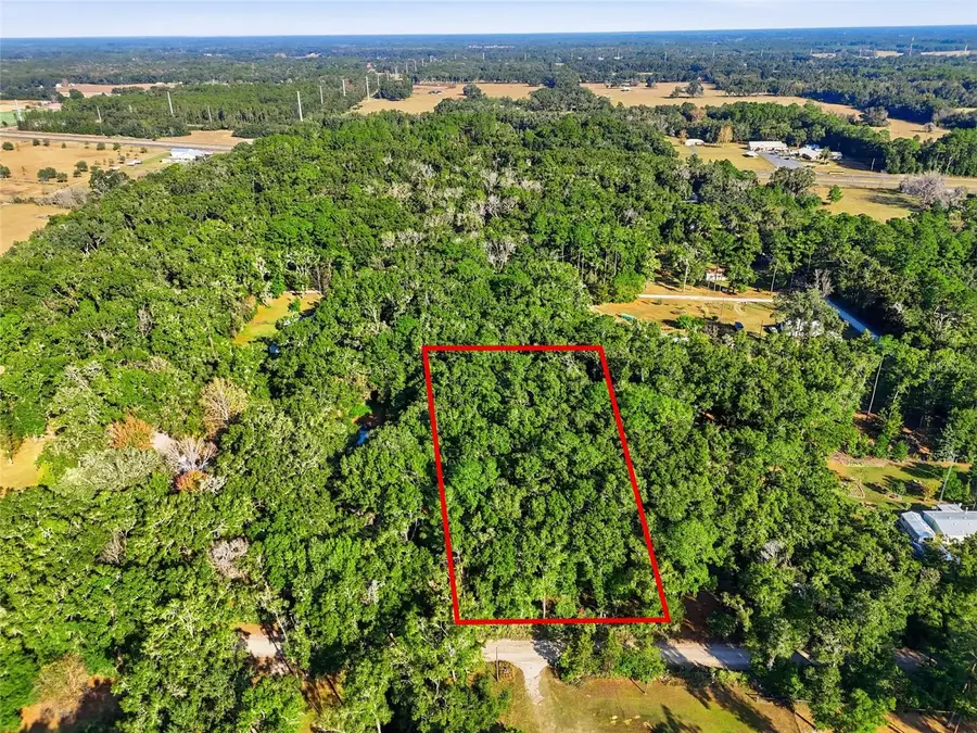 000 NE 40th Street, Williston, FL 32696 - Image #2