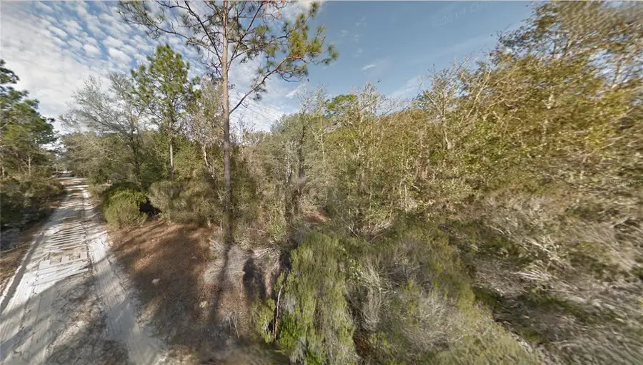 Lot 5 NE 100th Ct, Bronson, FL 32621 - Image #2