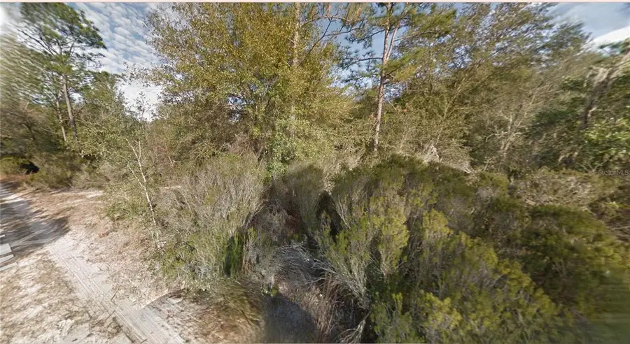 Lot 7 NE 100th Ct, Bronson, FL 32621 - Image #2