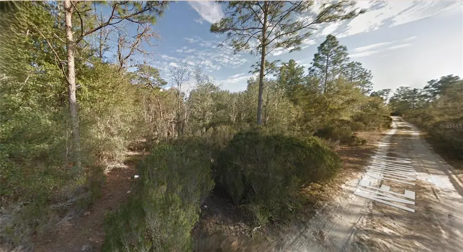 Lot 7 NE 100th Ct, Bronson, FL 32621 - Image #3