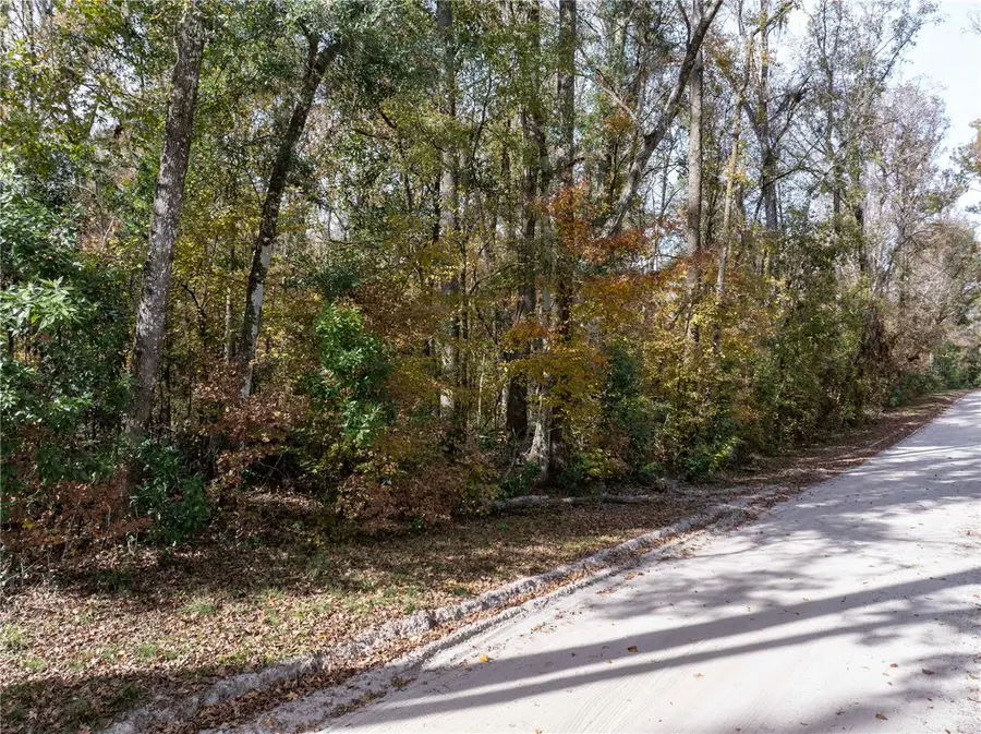 Lots 165 & 166 SW Nebraska Terrace, Fort White, FL 32038 - Image #2