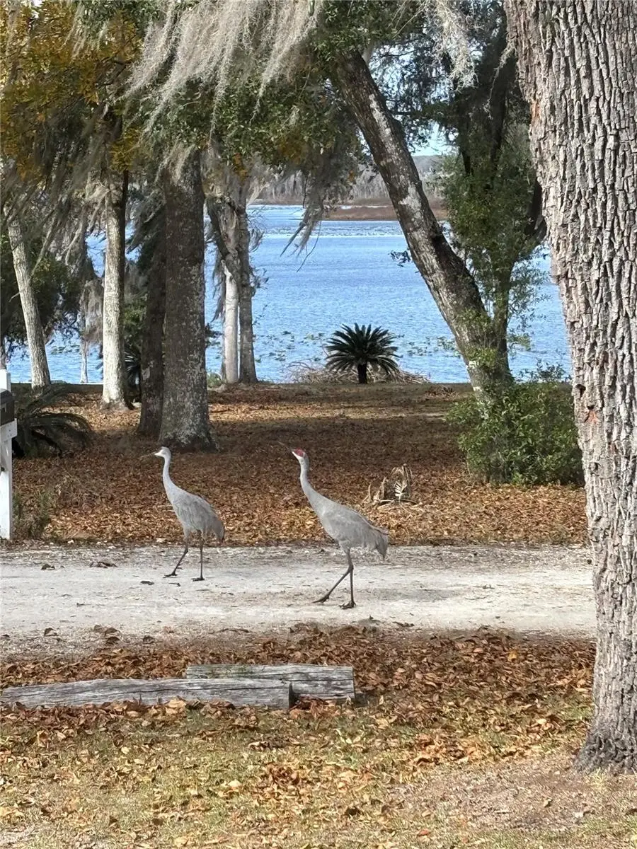 111 Little Orange Lake Drive, Hawthorne, FL 32640 - Image #3