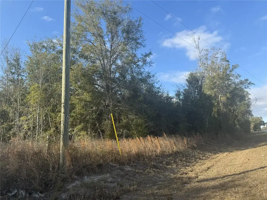 1222 SW Old Wire Road, Lake City, FL 32024 - Image #2