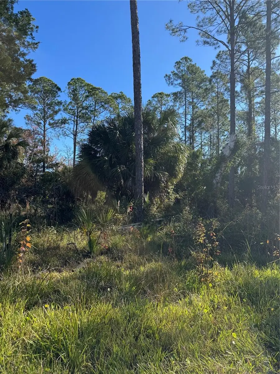 00 SE 330th St, Old Town, FL 32680 - Image #2