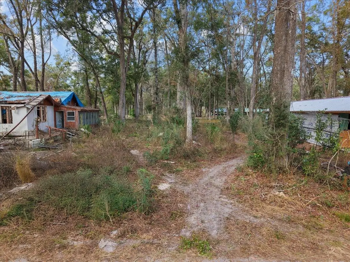 1254 NE 143rd Avenue, Old Town, FL 32680 - Image #1