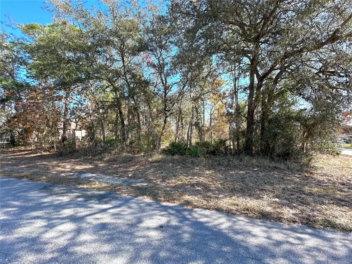 2 Dracaena Court, Homosassa, FL 34446 - Image #1