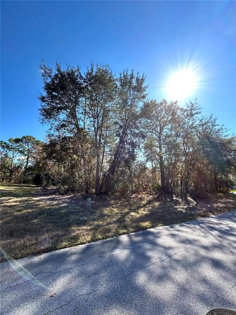 2 Dracaena Court, Homosassa, FL 34446 - Image #2