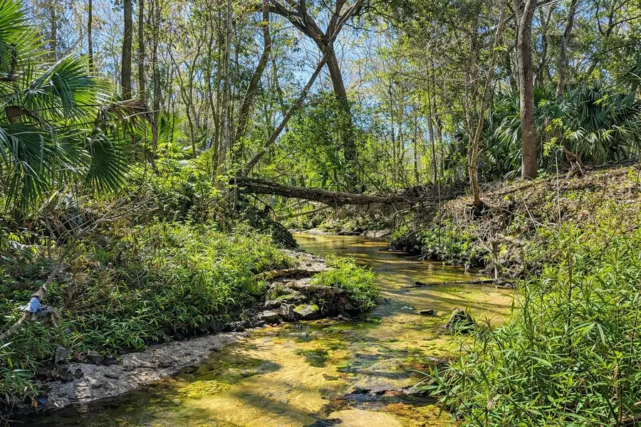 1810 NW 23rd Boulevard #219, Gainesville, FL 32605 - Image #2