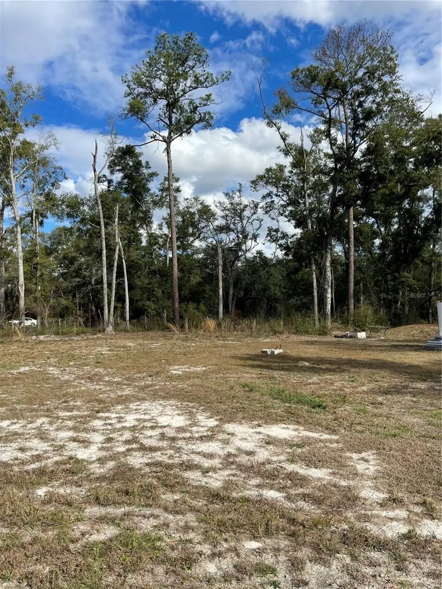 15635 97th Drive, Live Oak, FL 32060 - Image #3