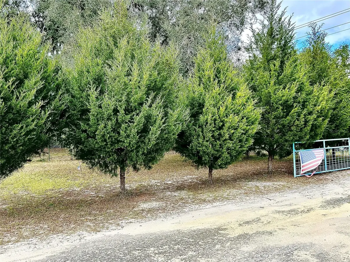 0 Nw 60th St, Chiefland, FL 32626 - Image #1