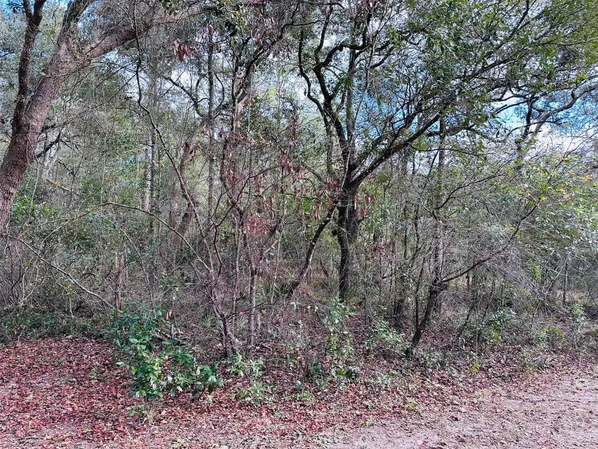 16151 NW 80th Court, Fanning Springs, FL 32693 - Image #1