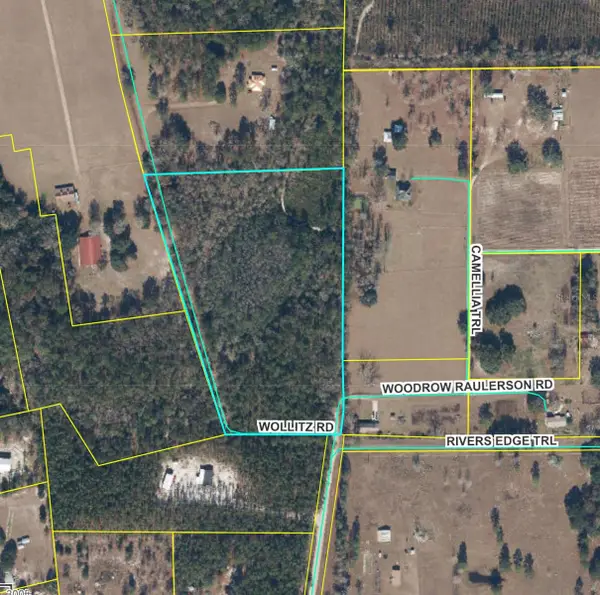 Wollitz Road, GLEN ST MARY, FL 32040