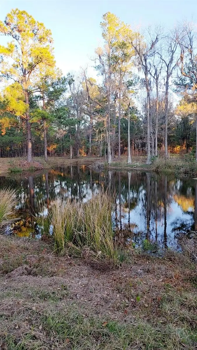 19788 NW 91st Street, Alachua, FL 32615 - Image #2