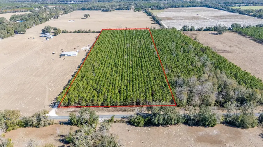 Nw 10th Avenue, Trenton, FL 32693 - #2