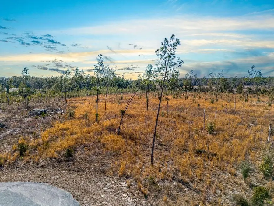 TBD 211th Court, Live Oak, FL 32060 - #3