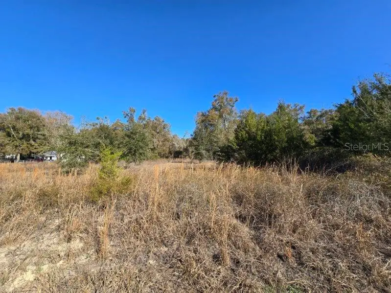 79th Lane, Trenton, FL 32693 - #1