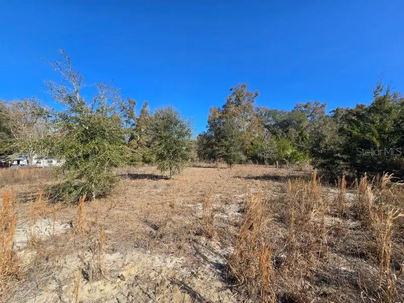 79th Lane, Trenton, FL 32693 - #3