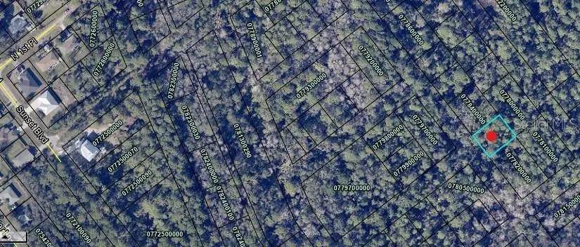 6120 Orange Tree Drive, Saint Augustine, FL 32095 - #2