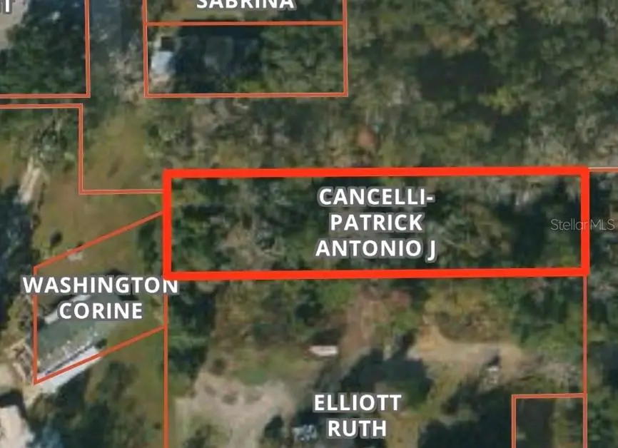 TBD Twigg Street, Brooksville, FL 34601 - #2