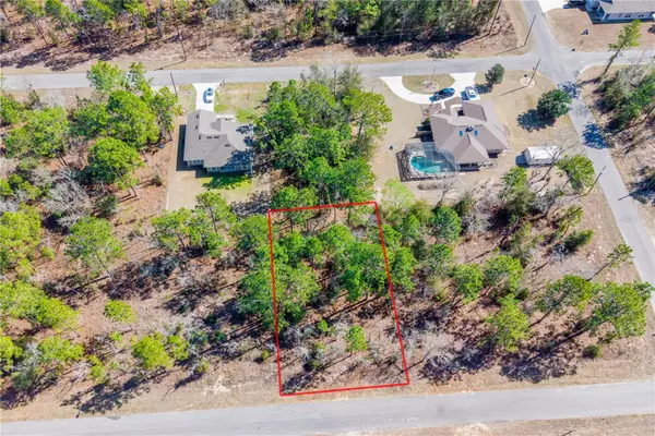 TBD NE 150th , Lot12 Court, WILLISTON, FL 32696