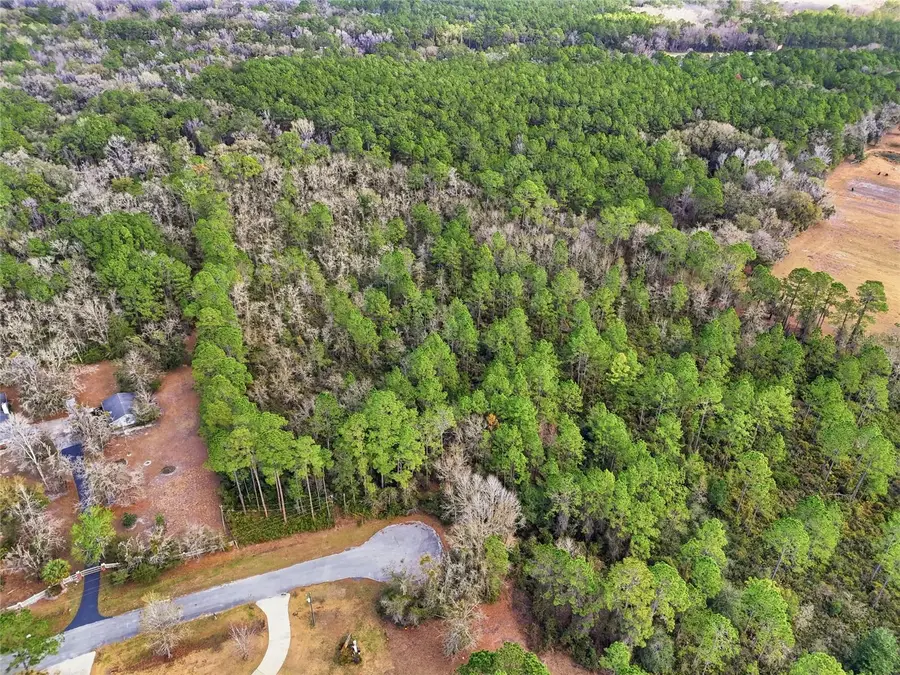 1321 SW 119th Place, Micanopy, FL 32667 - #2