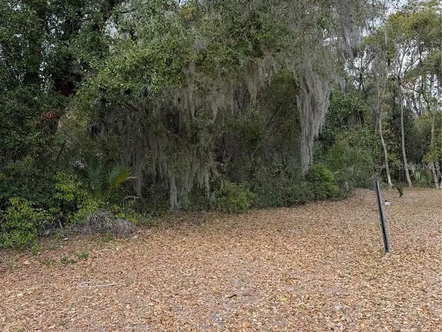 SE 65th Avenue, Hawthorne, FL 32640 - #1