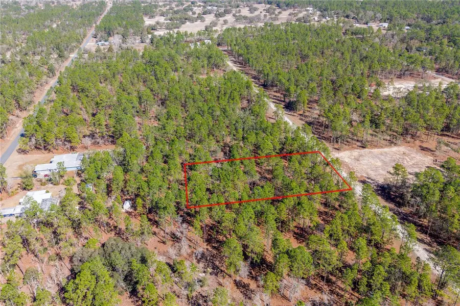 TBD SE 138th Ave , Lot 9, Dunnellon, FL 34431 - #3